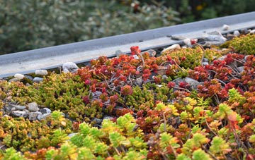 the cost of Bythorn green roof installation