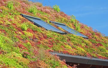 Bythorn living roof systems
